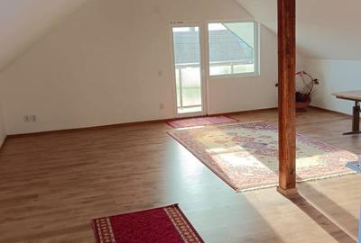 Casa de vanzare Otelu Rosu - 3