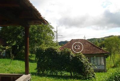 Teren agricol intravilan de 14368 mp, în Valea Bradului - 4