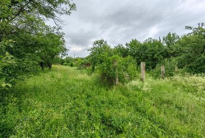 Teren de 18645 mp, în Sântămăria de Piatră - 15