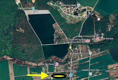 Teren 2100 mp Dumbrăveni Balotești – construibil, intim, zonă deosebită! - 7