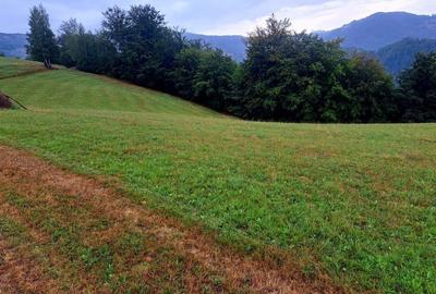 Spațiu comercial, în Ponoară - 2