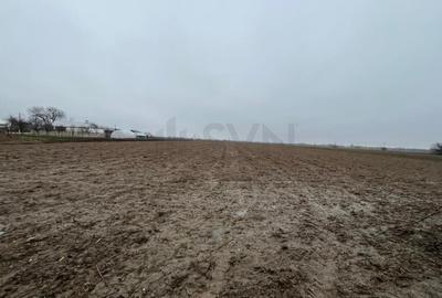 Teren Construcții intravilan de 4200 mp, în Merii - 3