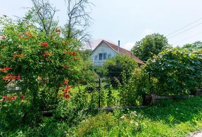 Casă individuală cu 6 camere cu Teren 6082 Mp în Podele - 37