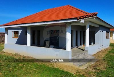 Casă cu 4 camere cu Teren 718 Mp în Lăpușel - 1