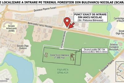 Teren Construcții intravilan de 7500 mp, în 1 Decembrie - 2