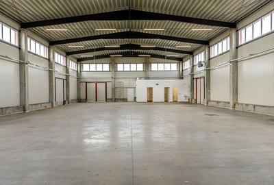 Hala industriala de vanzare in Parc Industrial UTA 2 Arad - 5