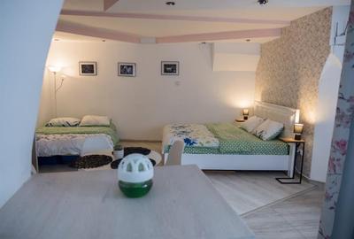 Apartament cu o camera zona Centrala - 4