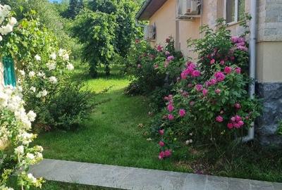 Casă individuală cu 4 camere cu Teren 750 Mp în Central - 5