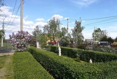 Domeniu Rustic Autentic la 3 Minute de Targovi?te Natu - 4