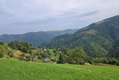 Vand teren la munte pentru cabana - 9