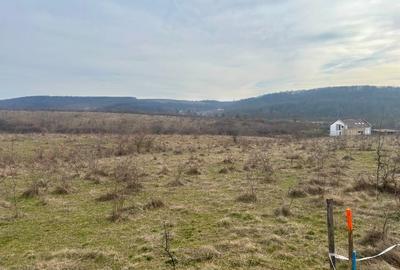 Teren Construcții intravilan de 802 mp, în Pișchia - 3