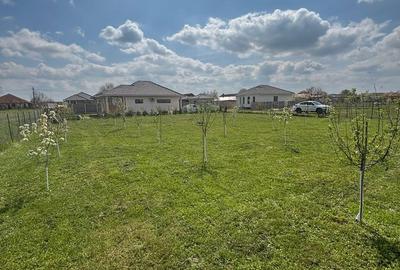 Spațiu comercial, în Pădureni - 2