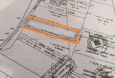 Spațiu comercial, în Central - 3