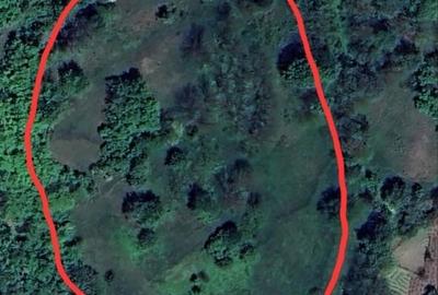 Spațiu comercial, în Drumul Carului - 5