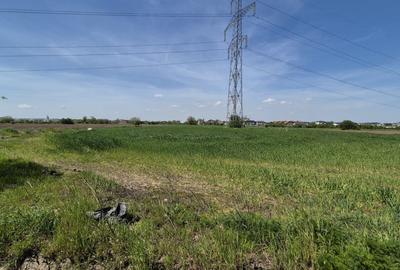 Teren agricol extravilan de 9983 mp, în Berceni - 1