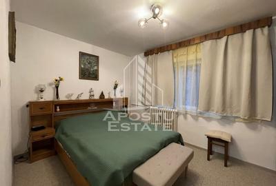 Apartament 2 camere, proaspat renovat, zona Micalaca - 6