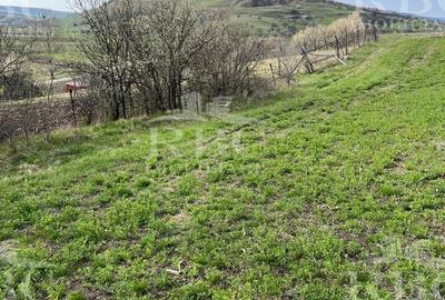 Teren extravilan de 6300 mp, în Gârbău - 3