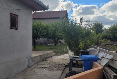 Techirghiol - casa parter cu teren 455 mp Techirghiol - casa parter cu teren 455 mp - 3