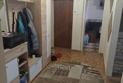 Apartament cu 4 camere decomandat în Halmeu - 9