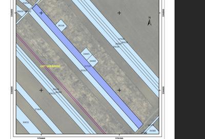 Teren Sabareni langa padure 10 minute pana in Bucuresti 6800mp - 2