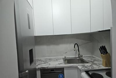 Apartament 2 camere Iancului - 10