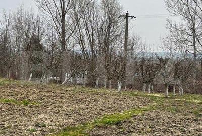 Casă cu 4 camere cu Teren 4600 Mp în Siret