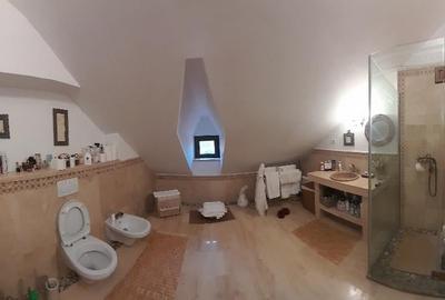 Domeniu  in Prahova- probabil una dintre cele mai frumoase reședințe - 27