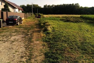 Spațiu comercial, în Domnești - 4