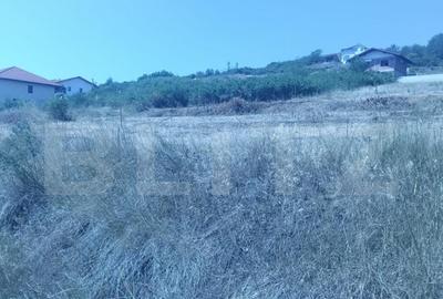 Teren de 1000 mp, în Central - 3