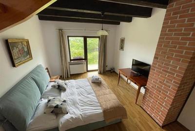 Pensiune:3 km de Castelul Bran, 2.900mp teren, aviz ISU, predare la cheie - 16