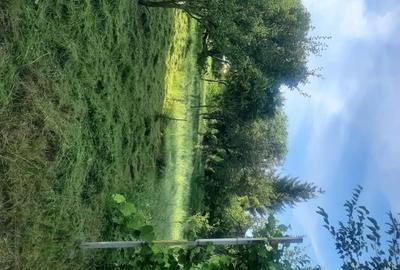 Casă cu 2 camere în Frunzeni - 5