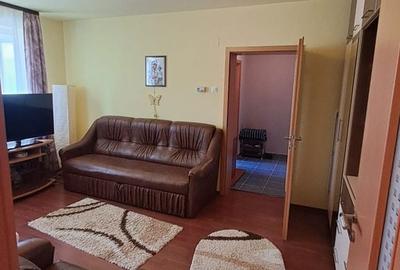 Apartament cu 2 camere semidecomandat în Săsar - 7