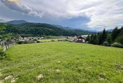 Teren intravilan Colibita cu utilitati 3000 mp - 8