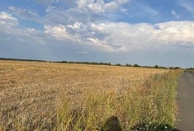 Teren Construcții intravilan de 8000 mp, în Corbeanca - 5