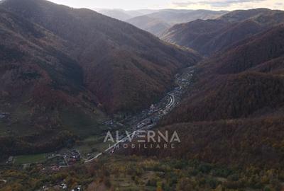 OPORTUNITATE | Teren intravilan | 34.625 mp | Plopi - Valea Ierii - 4
