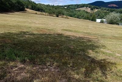 Teren de 2302 mp, în Bucea - 2