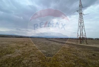 Teren de 4500 mp, în Ștrand - 5