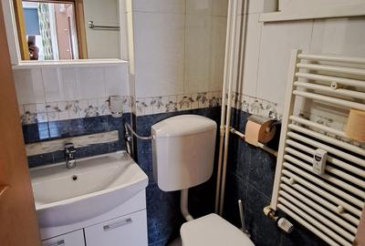 Apartament cu 3 camere în Parcul Circului - 9