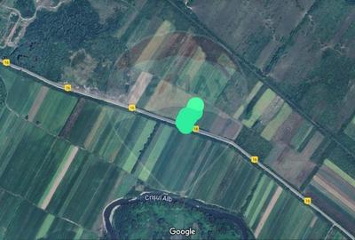 Teren extravilan 25.936 mp  intre Barsa si Sebis