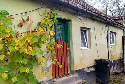 Casă în Pișchinți - 2