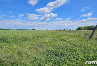 Teren extravilan Tancabesti - 2