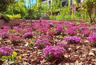 Apartament cu 4 camere în Central - 7