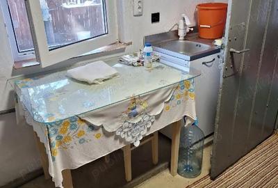 Casă cu Teren 3786 Mp în Sudiți - 6