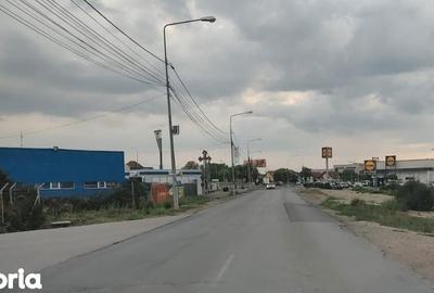 Teren de 30000 mp, în Ghiroda - 8
