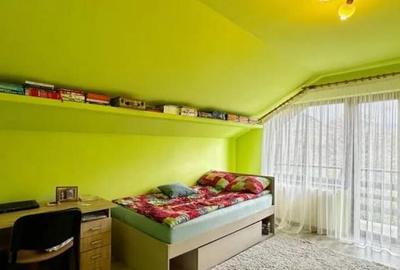 Baia Sprie, zona buna, casa finisata, 10 ari Baia Sprie, zona buna, casa finisata, 10 ari - 6