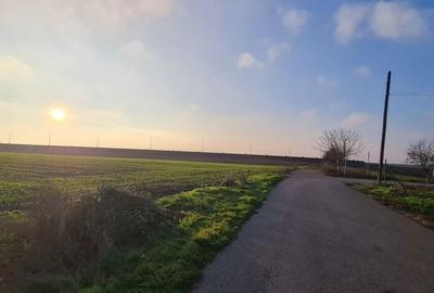 Teren de 2813 mp, în Vânători - 5