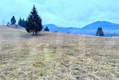 Teren de 2500 mp, în Colibița