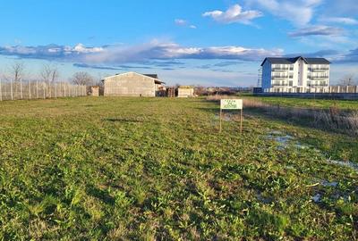 Teren de 900 mp, în Afumați - 2