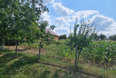 Teren intravilan in Zaicesti zona Conacului cu latura de padure - 2