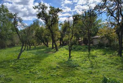 Teren de 2016 mp, în Costești - 7